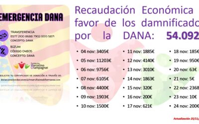 Actualización ayudas para la DANA